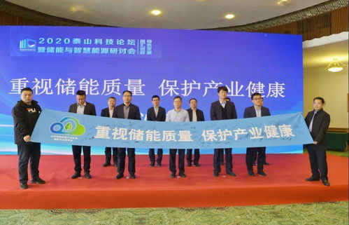 2020泰山科技论坛暨储能与智慧能源研讨会在济南成功举办，推动能源科学技术研究发展
